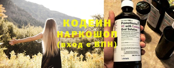прущий лед Корсаков