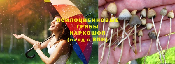 амф Баксан