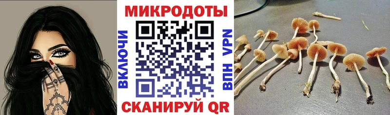 Галлюциногенные грибы Magic Shrooms  Купить  Апрелевка 